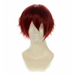 Hiiro no Kakera Anime Wig